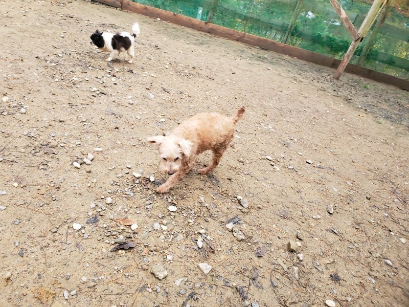 f:id:roukenhome-ann:20191203133421j:plain f:id:roukenhome-ann:20191203133421j:plain