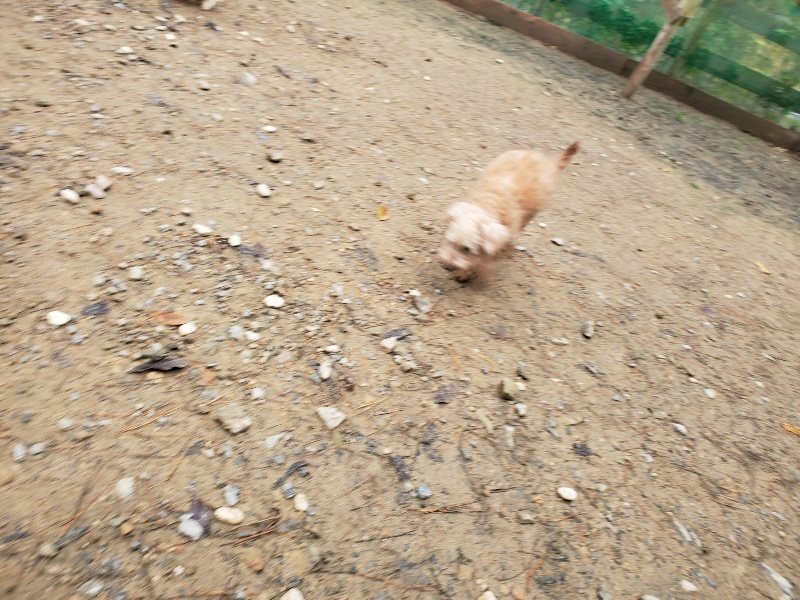 f:id:roukenhome-ann:20191203133426j:plain f:id:roukenhome-ann:20191203133426j:plain