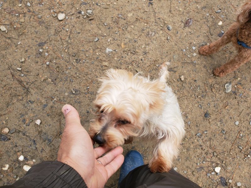 f:id:roukenhome-ann:20191203134616j:plain f:id:roukenhome-ann:20191203134616j:plain