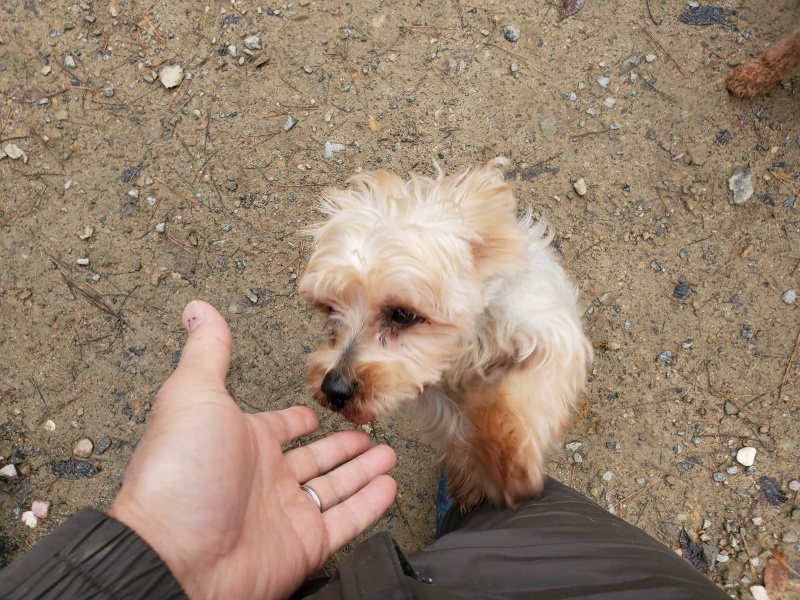 f:id:roukenhome-ann:20191203134622j:plain f:id:roukenhome-ann:20191203134622j:plain