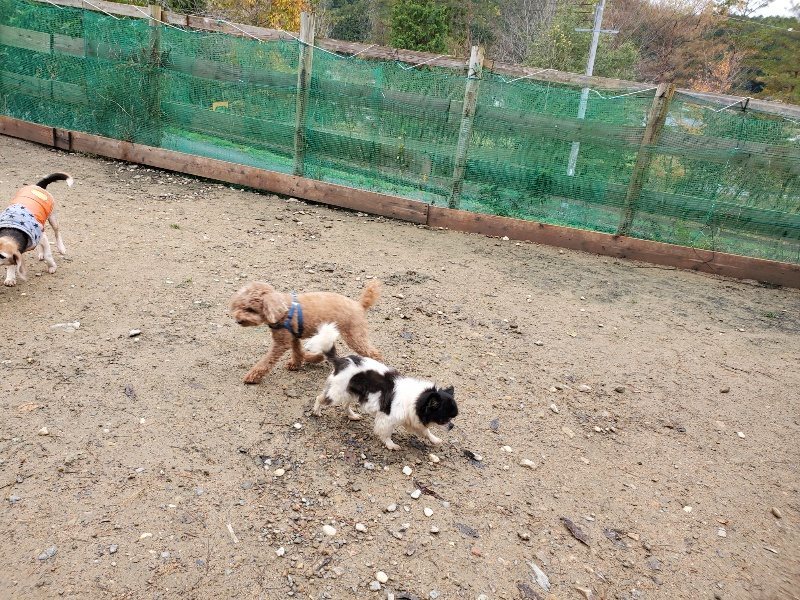 f:id:roukenhome-ann:20191203134630j:plain f:id:roukenhome-ann:20191203134630j:plain