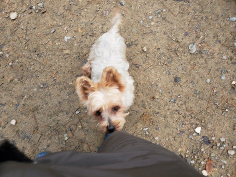 f:id:roukenhome-ann:20191203134638j:plain f:id:roukenhome-ann:20191203134638j:plain