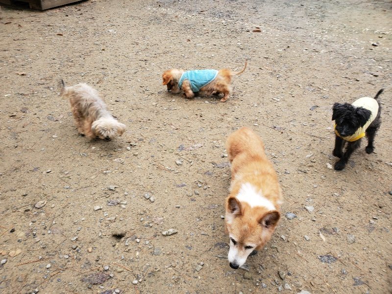 f:id:roukenhome-ann:20191203134648j:plain f:id:roukenhome-ann:20191203134648j:plain