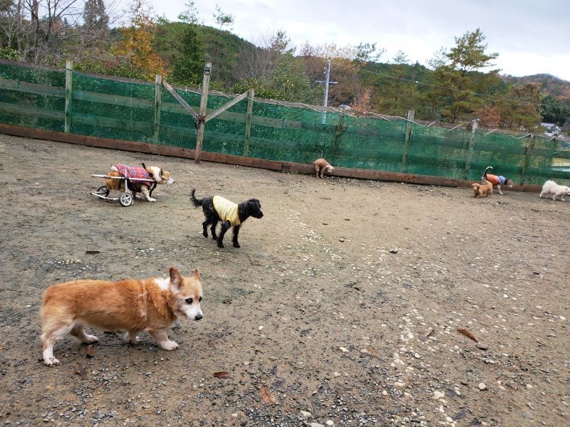 f:id:roukenhome-ann:20191203134720j:plain f:id:roukenhome-ann:20191203134720j:plain