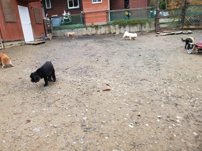 f:id:roukenhome-ann:20191203134726j:plain f:id:roukenhome-ann:20191203134726j:plain