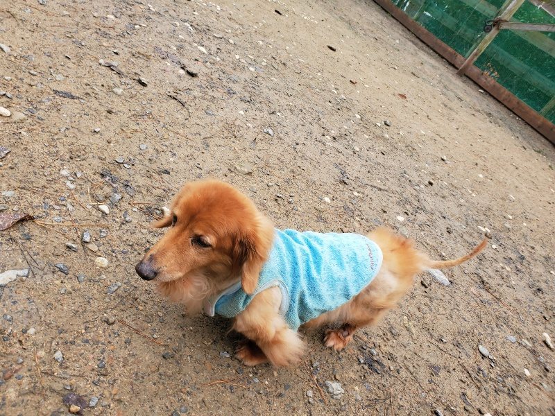 f:id:roukenhome-ann:20191203134751j:plain f:id:roukenhome-ann:20191203134751j:plain