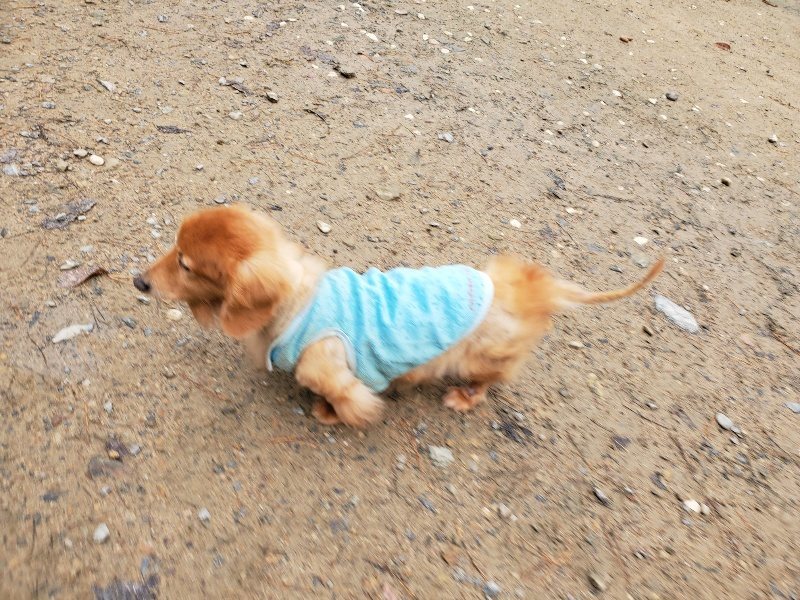 f:id:roukenhome-ann:20191203134802j:plain f:id:roukenhome-ann:20191203134802j:plain