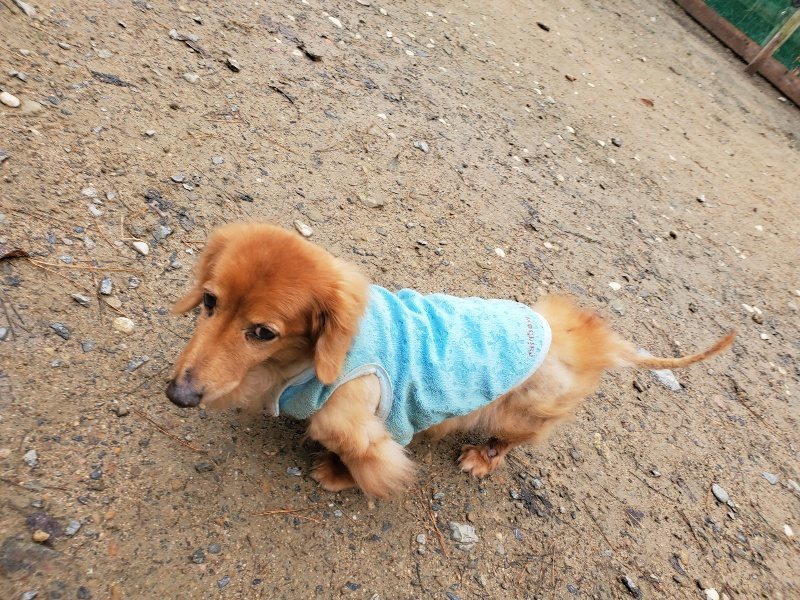 f:id:roukenhome-ann:20191203134808j:plain f:id:roukenhome-ann:20191203134808j:plain