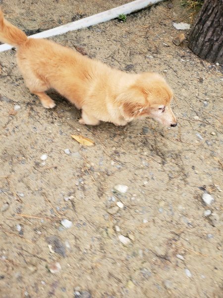 f:id:roukenhome-ann:20191203134813j:plain f:id:roukenhome-ann:20191203134813j:plain