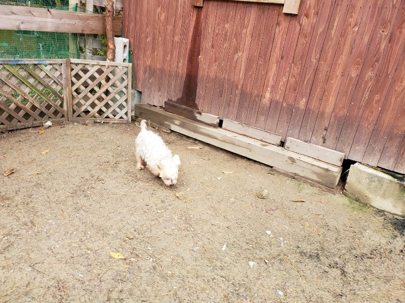 f:id:roukenhome-ann:20191203134826j:plain f:id:roukenhome-ann:20191203134826j:plain