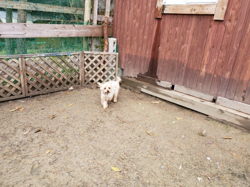 f:id:roukenhome-ann:20191203134832j:plain f:id:roukenhome-ann:20191203134832j:plain