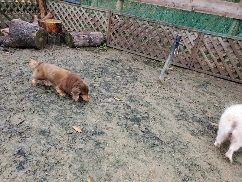 f:id:roukenhome-ann:20191203134843j:plain f:id:roukenhome-ann:20191203134843j:plain