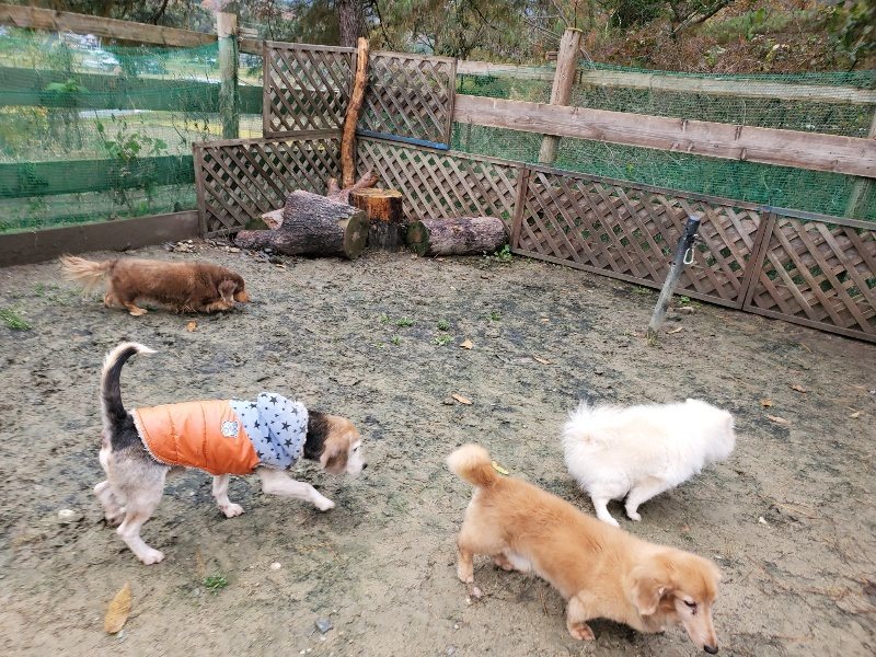 f:id:roukenhome-ann:20191203134910j:plain f:id:roukenhome-ann:20191203134910j:plain