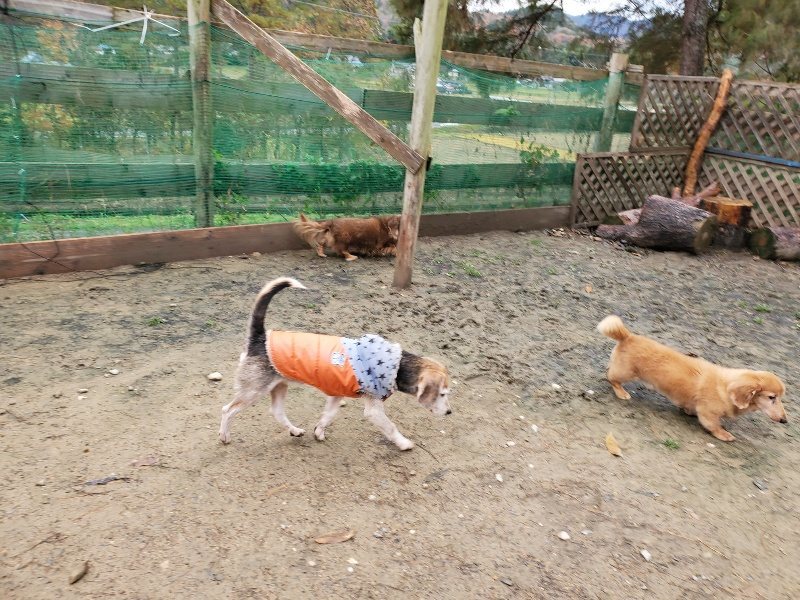 f:id:roukenhome-ann:20191203134919j:plain f:id:roukenhome-ann:20191203134919j:plain