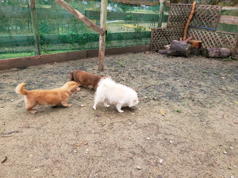 f:id:roukenhome-ann:20191203134934j:plain f:id:roukenhome-ann:20191203134934j:plain