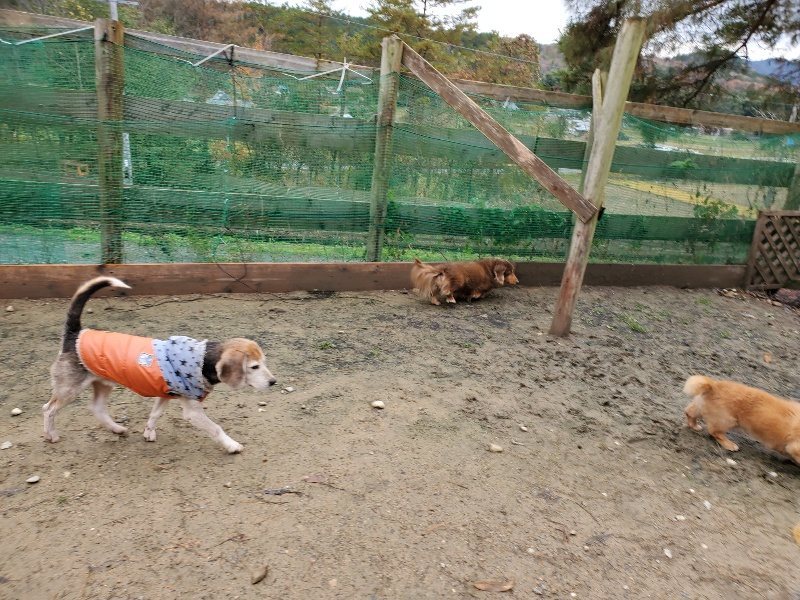 f:id:roukenhome-ann:20191203134945j:plain f:id:roukenhome-ann:20191203134945j:plain