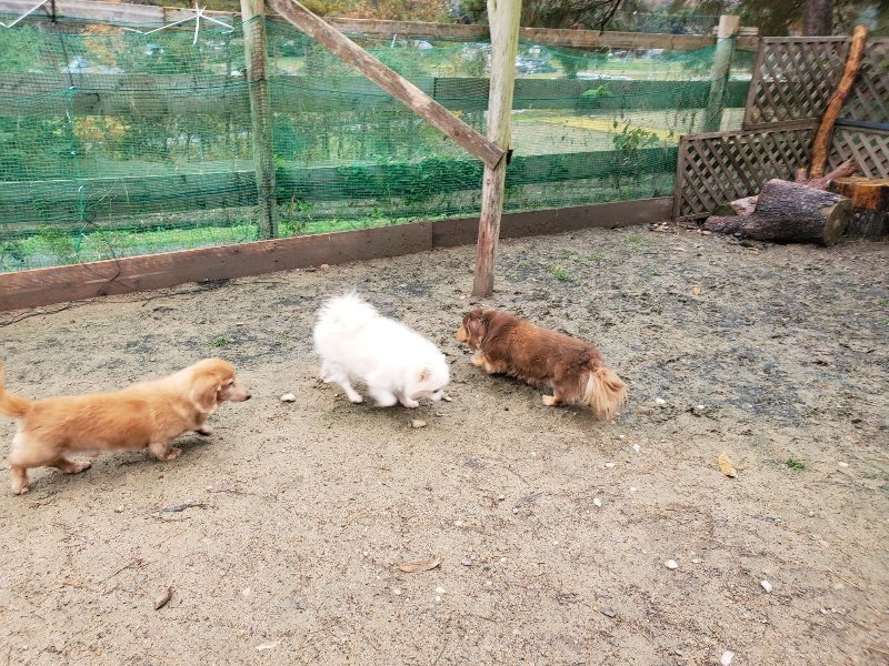 f:id:roukenhome-ann:20191203134953j:plain f:id:roukenhome-ann:20191203134953j:plain