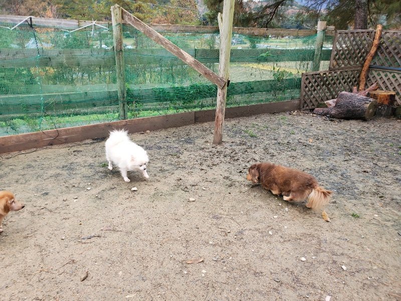 f:id:roukenhome-ann:20191203135003j:plain f:id:roukenhome-ann:20191203135003j:plain