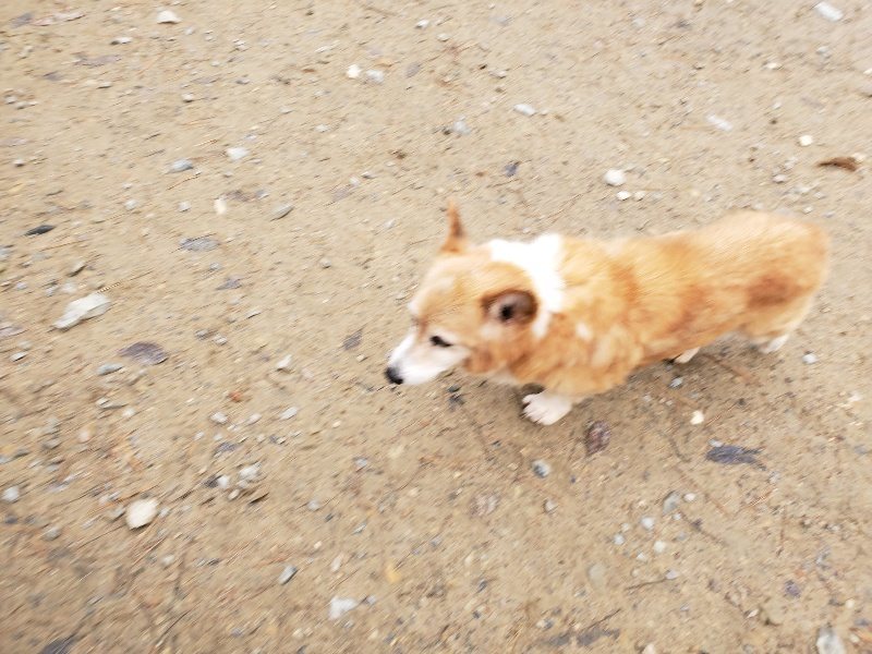 f:id:roukenhome-ann:20191203135015j:plain f:id:roukenhome-ann:20191203135015j:plain