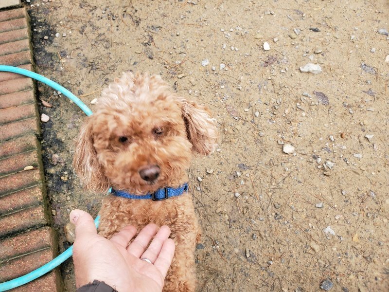 f:id:roukenhome-ann:20191203135023j:plain f:id:roukenhome-ann:20191203135023j:plain