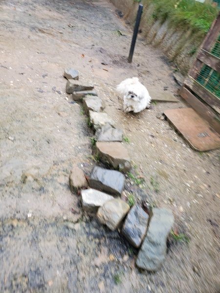 f:id:roukenhome-ann:20191203135317j:plain f:id:roukenhome-ann:20191203135317j:plain