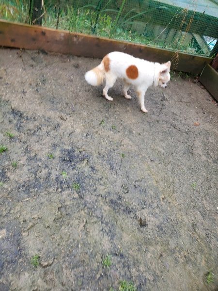 f:id:roukenhome-ann:20191203135322j:plain f:id:roukenhome-ann:20191203135322j:plain