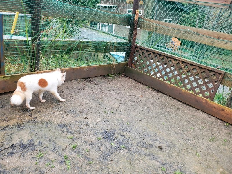 f:id:roukenhome-ann:20191203135336j:plain f:id:roukenhome-ann:20191203135336j:plain