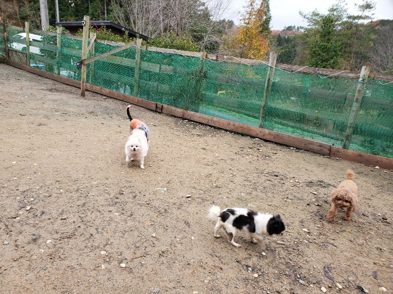 f:id:roukenhome-ann:20191203135344j:plain f:id:roukenhome-ann:20191203135344j:plain