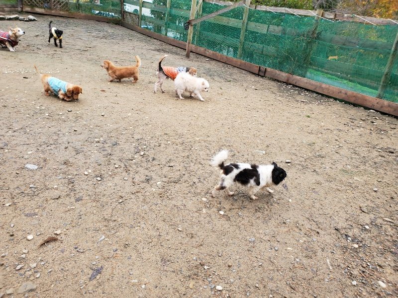 f:id:roukenhome-ann:20191203135351j:plain f:id:roukenhome-ann:20191203135351j:plain