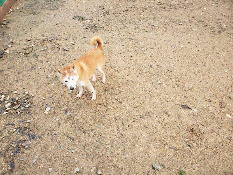 f:id:roukenhome-ann:20191203135359j:plain f:id:roukenhome-ann:20191203135359j:plain