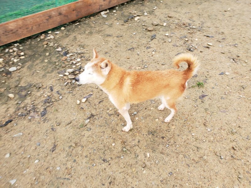 f:id:roukenhome-ann:20191203135409j:plain f:id:roukenhome-ann:20191203135409j:plain