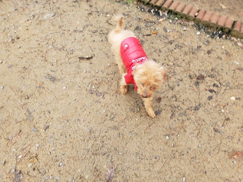 f:id:roukenhome-ann:20191203135415j:plain f:id:roukenhome-ann:20191203135415j:plain