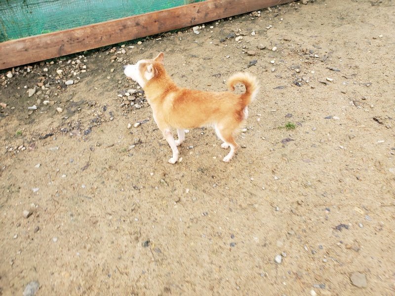 f:id:roukenhome-ann:20191203135420j:plain f:id:roukenhome-ann:20191203135420j:plain