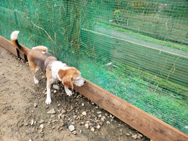 f:id:roukenhome-ann:20191203135429j:plain f:id:roukenhome-ann:20191203135429j:plain