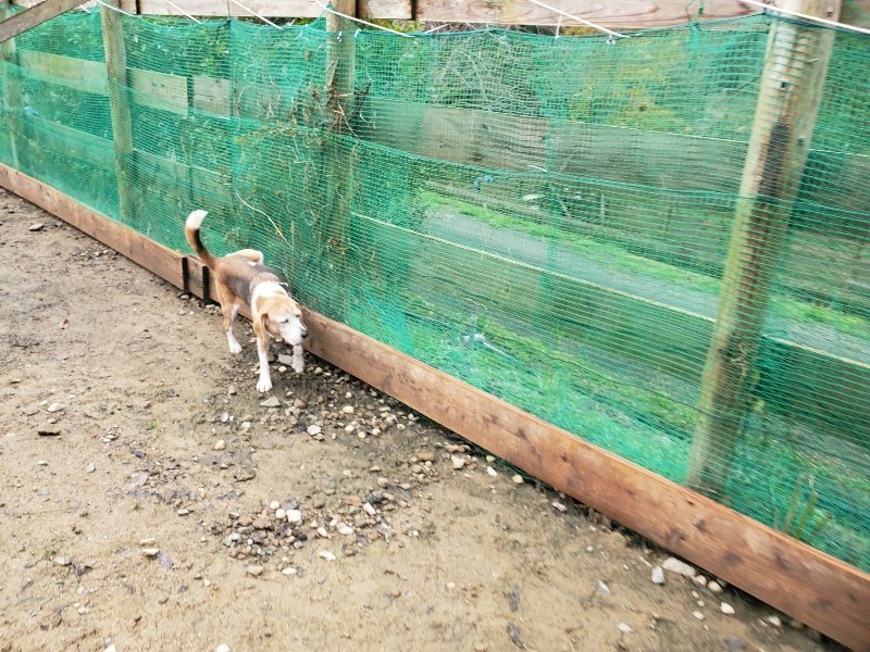 f:id:roukenhome-ann:20191203135441j:plain f:id:roukenhome-ann:20191203135441j:plain