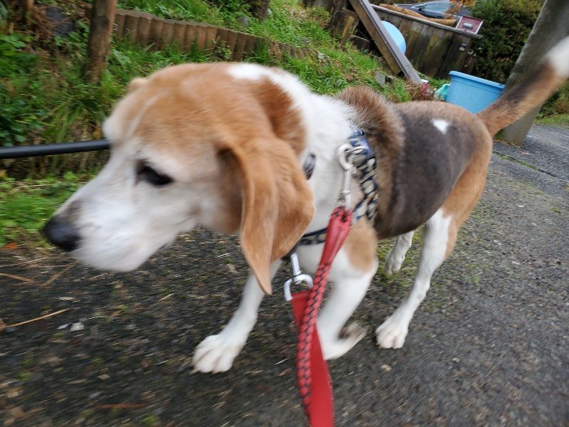 f:id:roukenhome-ann:20191203135523j:plain f:id:roukenhome-ann:20191203135523j:plain