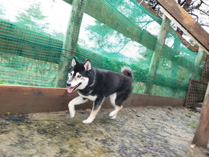 f:id:roukenhome-ann:20191203135547j:plain f:id:roukenhome-ann:20191203135547j:plain