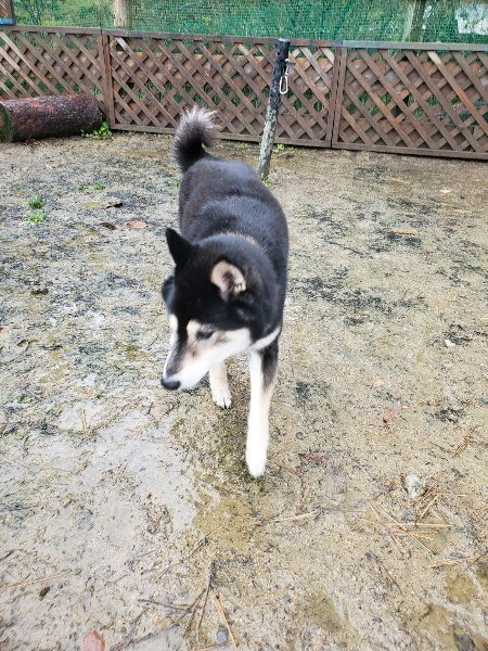 f:id:roukenhome-ann:20191203135553j:plain f:id:roukenhome-ann:20191203135553j:plain