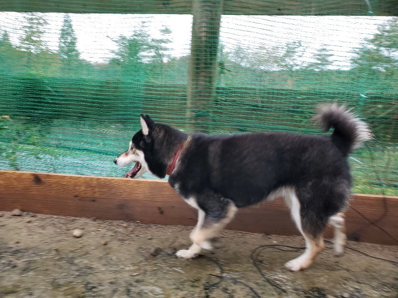 f:id:roukenhome-ann:20191203135600j:plain f:id:roukenhome-ann:20191203135600j:plain