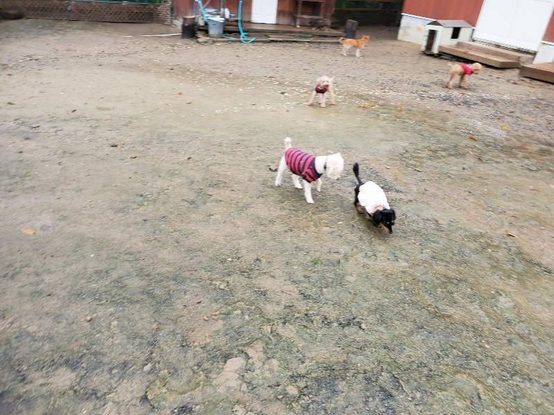 f:id:roukenhome-ann:20191203135626j:plain f:id:roukenhome-ann:20191203135626j:plain