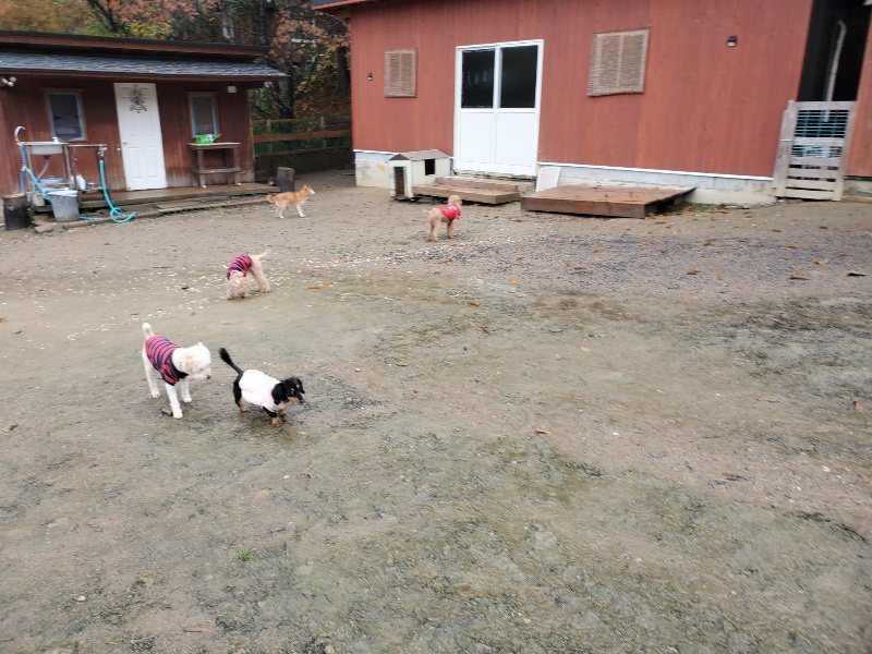 f:id:roukenhome-ann:20191203135637j:plain f:id:roukenhome-ann:20191203135637j:plain