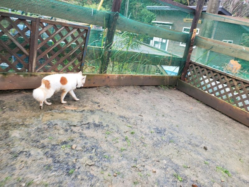 f:id:roukenhome-ann:20191203142828j:plain f:id:roukenhome-ann:20191203142828j:plain