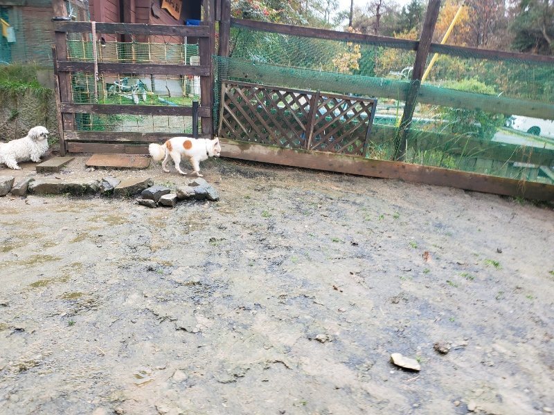 f:id:roukenhome-ann:20191203142835j:plain f:id:roukenhome-ann:20191203142835j:plain