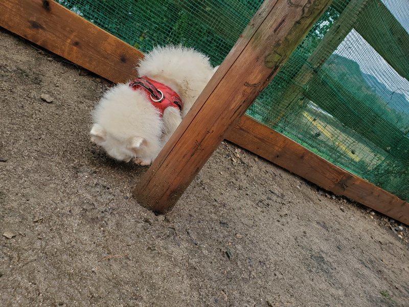 f:id:roukenhome-ann:20191203142856j:plain f:id:roukenhome-ann:20191203142856j:plain