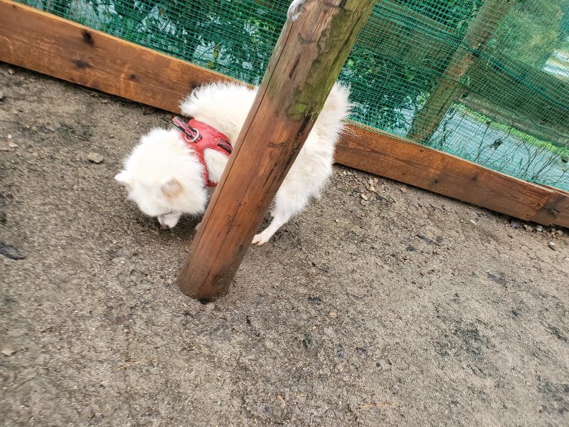 f:id:roukenhome-ann:20191203142909j:plain f:id:roukenhome-ann:20191203142909j:plain
