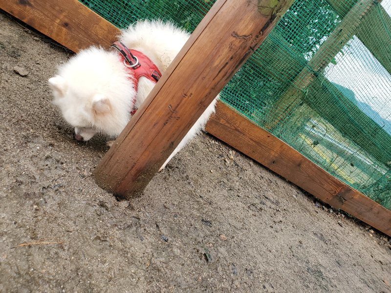 f:id:roukenhome-ann:20191203142915j:plain f:id:roukenhome-ann:20191203142915j:plain