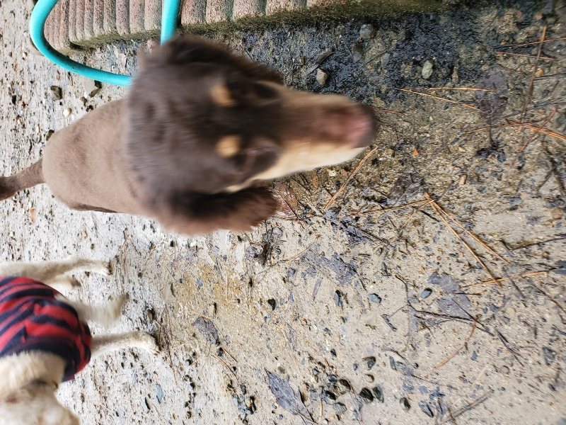 f:id:roukenhome-ann:20191203143031j:plain f:id:roukenhome-ann:20191203143031j:plain