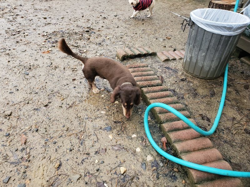 f:id:roukenhome-ann:20191203143043j:plain f:id:roukenhome-ann:20191203143043j:plain