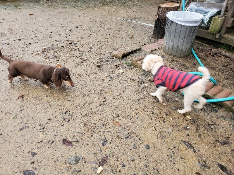 f:id:roukenhome-ann:20191203143116j:plain f:id:roukenhome-ann:20191203143116j:plain