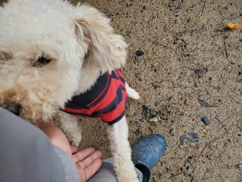 f:id:roukenhome-ann:20191203143147j:plain f:id:roukenhome-ann:20191203143147j:plain